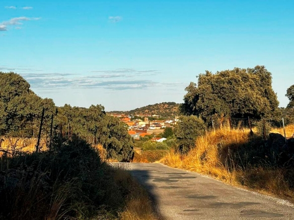 casas de pueblo cerca de talavera an venta